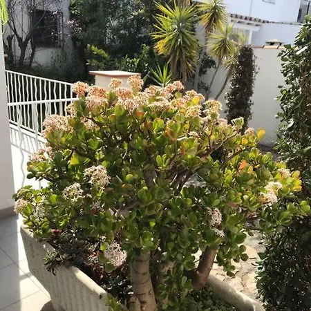 Petite Maison, Barbecue, Canal, Ampuriabrava